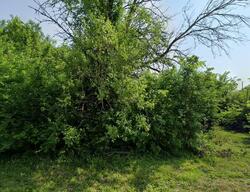 Pre-foreclosure in  Gay Ave East Saint Louis, IL 62207