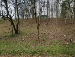  Woods Hollow Rd, Decatur TN