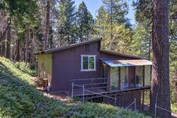  High Trees Dr, Pioneer CA