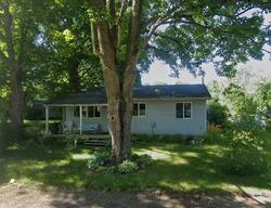 Pre-foreclosure in  W Irving Rd Hastings, MI 49058