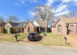 Pre-foreclosure in  N REGENCY PARK CIR Memphis, TN 38115