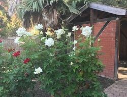 Pre-foreclosure in  Noble Ave Sherman Oaks, CA 91403