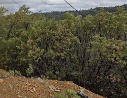  Gunsight Rd, Sonora CA