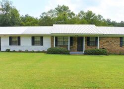 Pre-foreclosure in  Rockaway Creek Rd Mc David, FL 32568