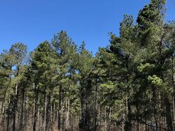  Mount Hebron Rd, Hartwell GA