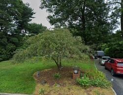 Pre-foreclosure in  Claremont Ct Smithtown, NY 11787