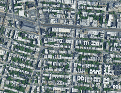 Pre-foreclosure in  Bergen St Brooklyn, NY 11216