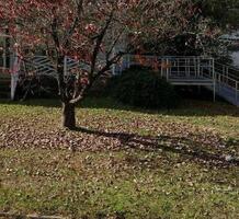 Pre-foreclosure in  S Franklin St Rocky Mount, NC 27803