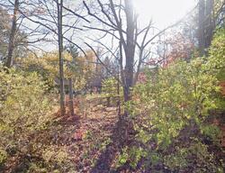 Pre-foreclosure in  Braumiller Rd Delaware, OH 43015
