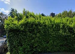 Pre-foreclosure in  Se 52nd Ave Portland, OR 97206
