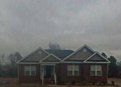 Pre-foreclosure in  Wisdom Ln Effingham, SC 29541