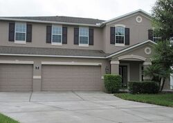 Pre-foreclosure in  Rushgrove Cir Dover, FL 33527