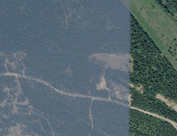  Lupfer Rd, Whitefish MT