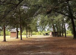 Pre-foreclosure in  NE Pampas Dr Mayo, FL 32066
