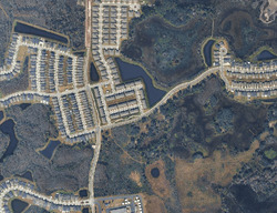  Lyonia Ln, Land O Lakes FL