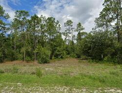 Pre-foreclosure in  Moore Ave Lehigh Acres, FL 33972