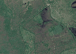 Pre-foreclosure in  Amethyst Ave Grant, FL 32949