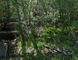 Pre-foreclosure in  Coleman Dr San Rafael, CA 94901