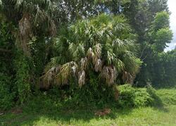  Fountain St, Port Charlotte FL