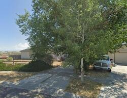 Pre-foreclosure in  Pinto Cir Spring Creek, NV 89815