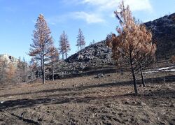  Seven Lakes Rd, Riverside WA