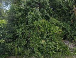  Kirkwood St, North Port FL