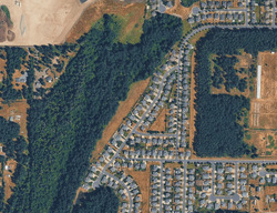 Pre-foreclosure in  77th Ave E Graham, WA 98338