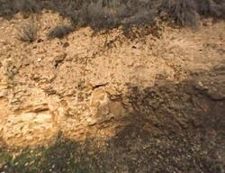 Pre-foreclosure in  Chamisal Pass Carmel, CA 93923