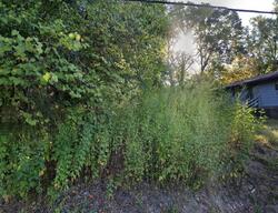 Pre-foreclosure in  Hayward St Nacogdoches, TX 75961