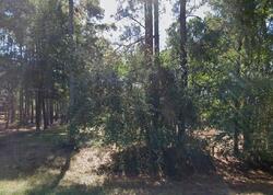 Pre-foreclosure in  Joseph Rd Hockley, TX 77447