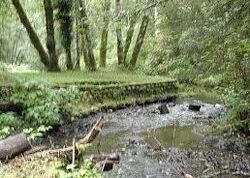 Pre-foreclosure in  N Doris Ln Otis, OR 97368