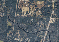 Pre-foreclosure in  Tworut Rd Webster, FL 33597