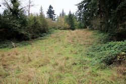 Pre-foreclosure in  Auburn Way S Auburn, WA 98092