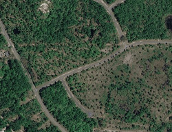 Pre-foreclosure in  River Dr Panacea, FL 32346