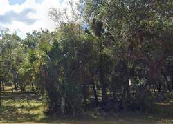 Pre-foreclosure in  Buckingham Rd Fort Myers, FL 33905