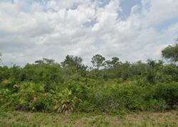  San Benito Dr, Sebring FL