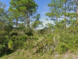  Pebble Beach Dr, Sebring FL