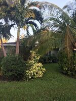  Ne 16th Ave, Fort Lauderdale FL