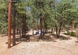 Pre-foreclosure in  Iris Rd Mcarthur, CA 96056