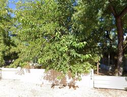 Pre-foreclosure in  Lake St Lower Lake, CA 95457