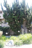  Via Marin, La Jolla CA