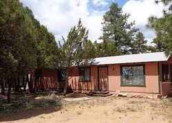 Pre-foreclosure in  Pine Rim Rd Overgaard, AZ 85933