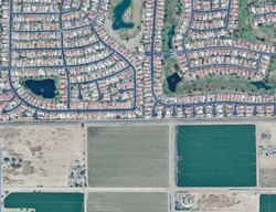  S Ribbonwood Dr, Chandler AZ