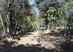 Pre-foreclosure in  Hopi Ave Coarsegold, CA 93614