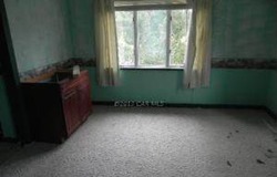  Steamboat Rd, Woolford MD