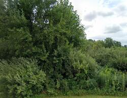 Pre-foreclosure in  Dixon Rd Dundee, MI 48131