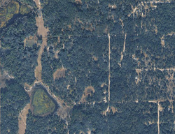 Pre-foreclosure in  Ne 125th St Bronson, FL 32621