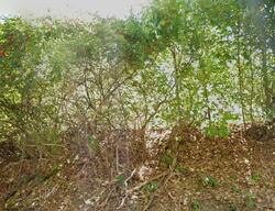 Pre-foreclosure in  HIGH STREET EXT Lancaster, MA 01523