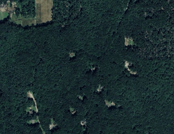 Pre-foreclosure in  Boyden Rd Amherst, MA 01002