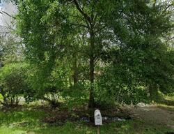 Pre-foreclosure in  County Road 361 Brazoria, TX 77422